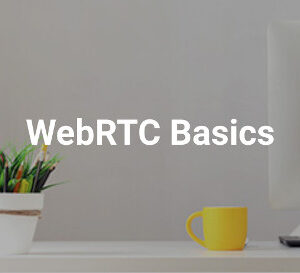 WebRTC Basics course